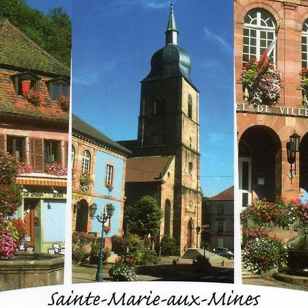 Les Lilas Sainte-Marie-aux-Mines Exterior foto