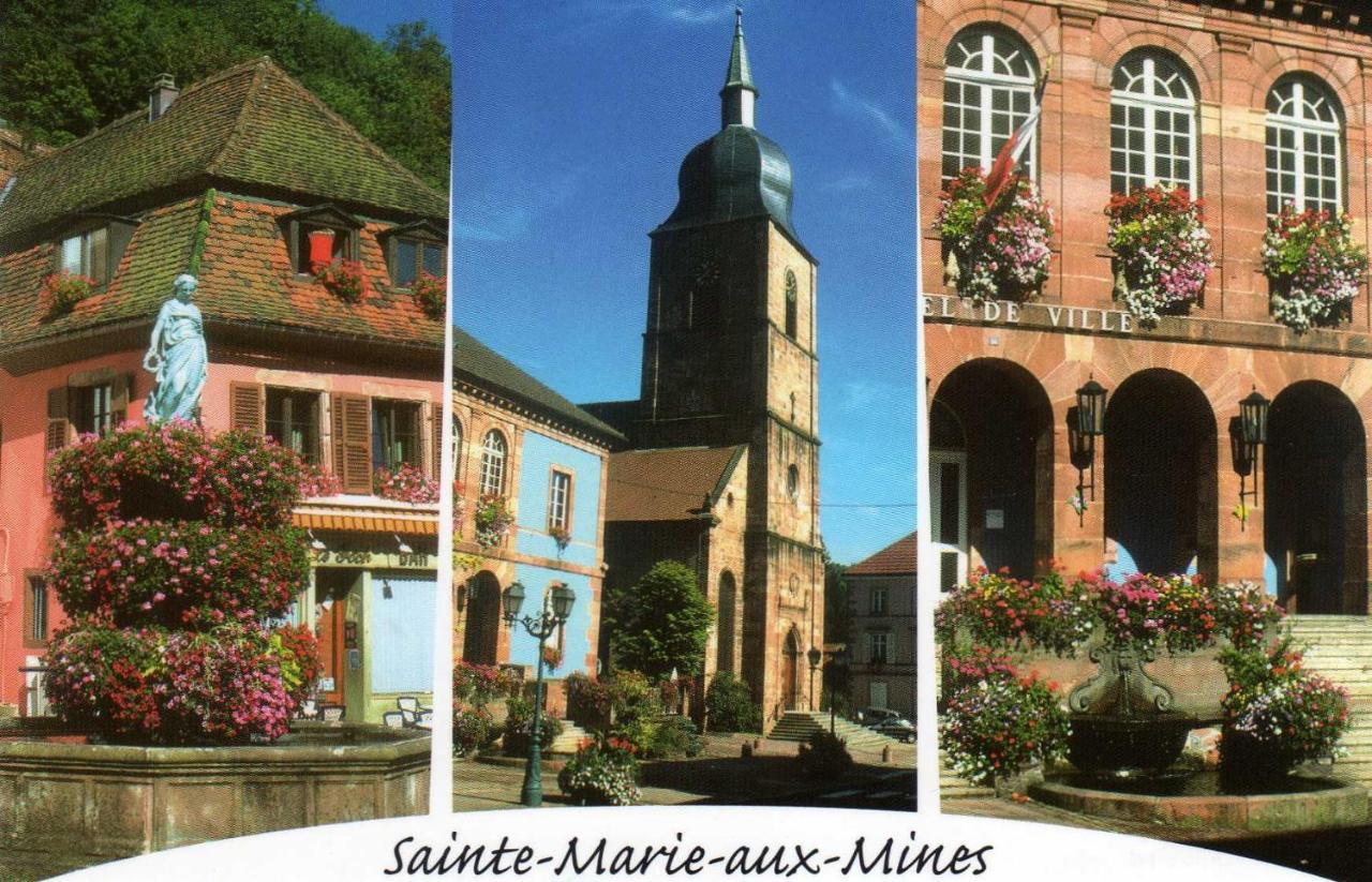 Les Lilas Sainte-Marie-aux-Mines Exterior foto